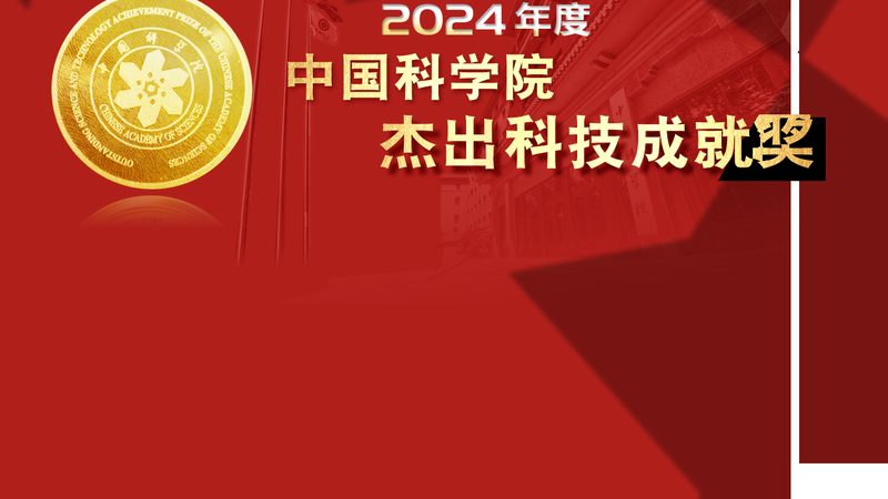 企业搜索引擎定制开发的五大关键考量